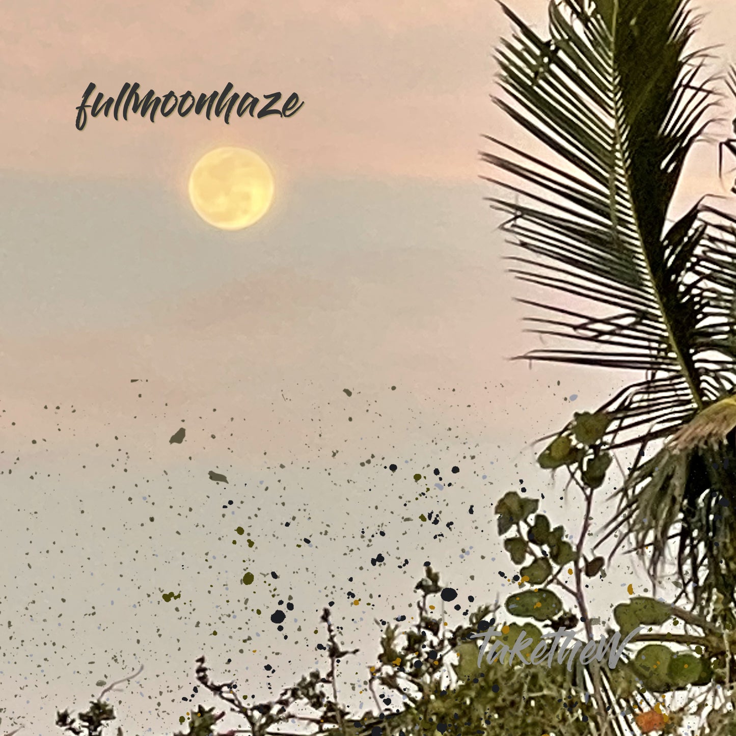 CD - fullmoonhaze Album