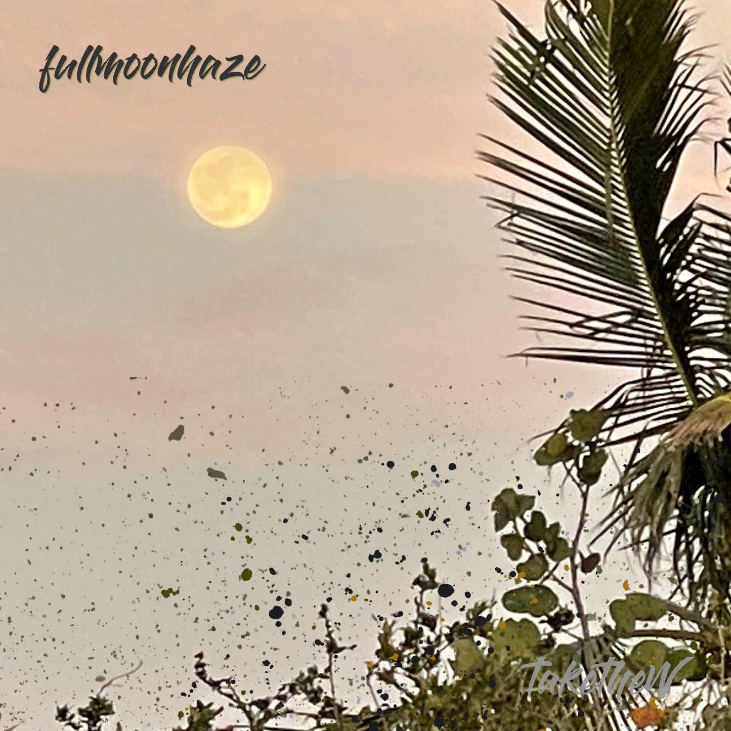 LP - fullmoonhaze Vinyl Album